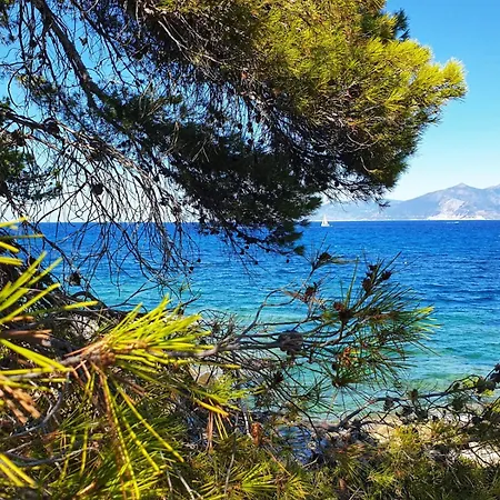 Apartmán T3 Avec Vue Panoramique Sur La Mer, Terrasse, Piscine Et A Seulement 300m De La De La Roya Saint-Florent (Corsica)
