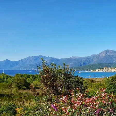 Apartment T3 Avec Terrasse Et Vue Panoramique Sur Le Golfe De Saint-florent, A 300m De La De La Roya *