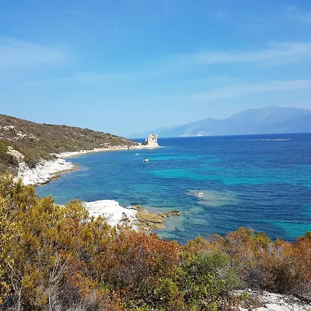 T3 Avec Terrasse Et Vue Panoramique Sur Le Golfe De Saint-florent, A 300m De La De La Roya