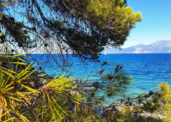公寓 T3 Avec Vue Panoramique Sur La Mer, Terrasse, Piscine Et A Seulement 300m De La De La Roya 圣弗洛朗