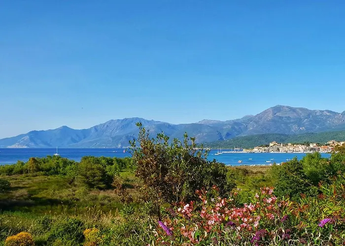 公寓 T3 Avec Vue Panoramique Sur La Mer, Terrasse, Piscine Et A Seulement 300m De La De La Roya *