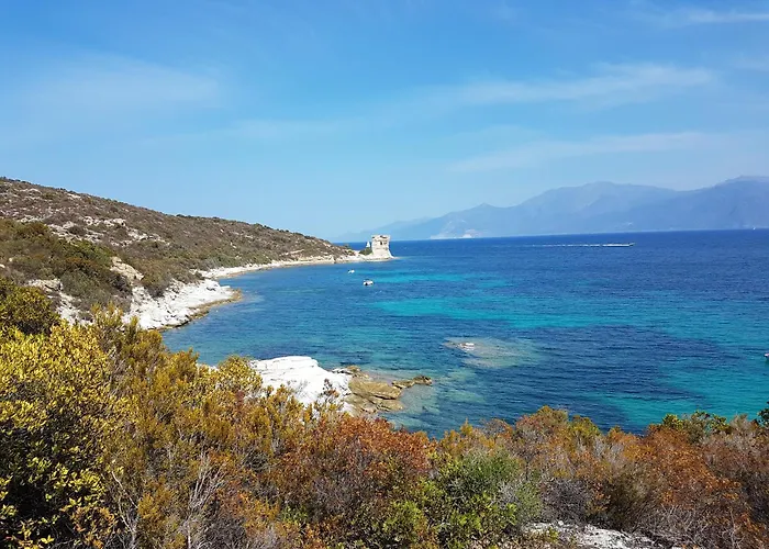 T3 Avec Vue Panoramique Sur La Mer, Terrasse, Piscine Et A Seulement 300m De La De La Roya